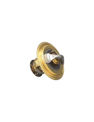 Termostato Motor