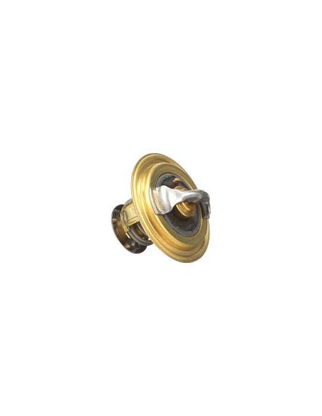 Termostato Motor