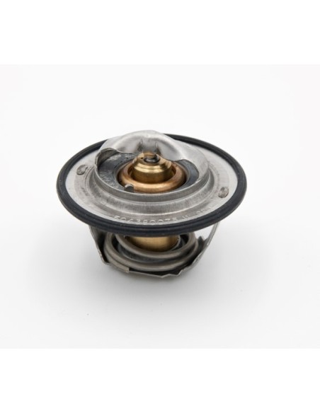 Termostato Motor 170e22