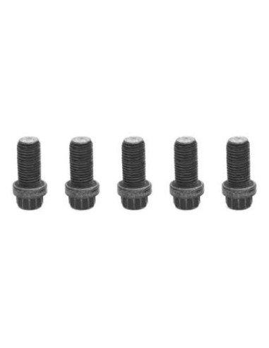 Tornillo Brida Trans