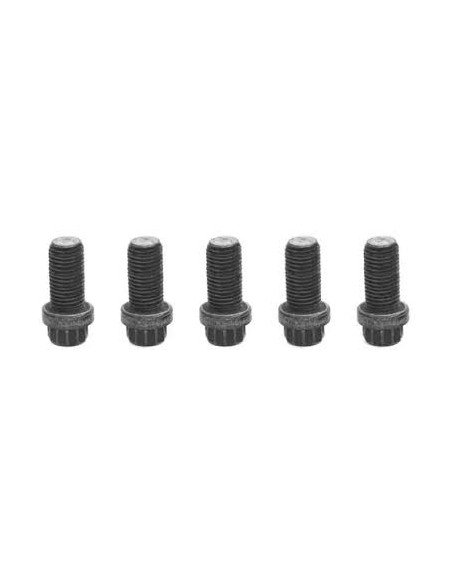 Tornillo Brida Trans