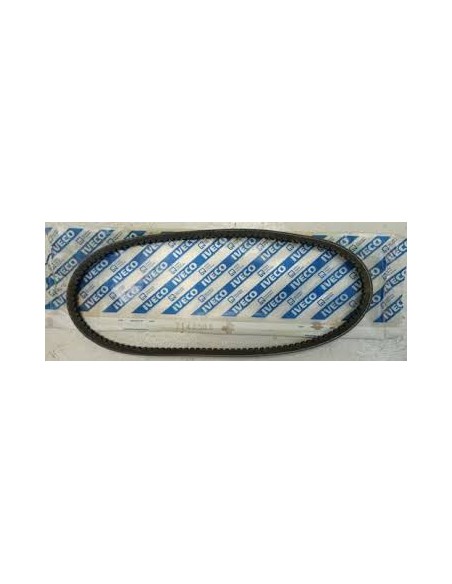 Correa Alternador