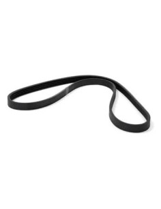 Correa Alternador