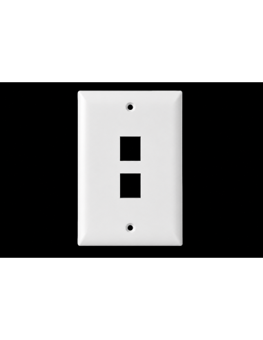 Wall Plate 2 Ports 110 Economico - Blanco