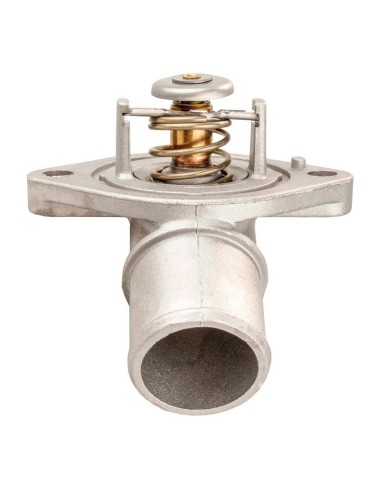 Termostato Motor