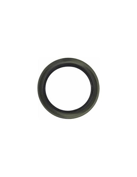 Reten Banc Trasera (ring Aleman)