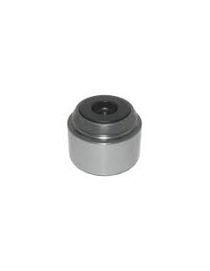Piston Pinza Freno Ant.