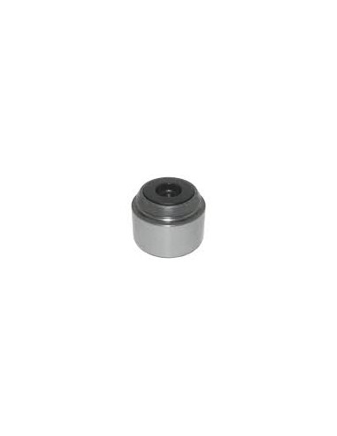 Piston Pinza Freno Ant.