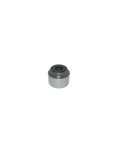 Piston Pinza Freno Ant.