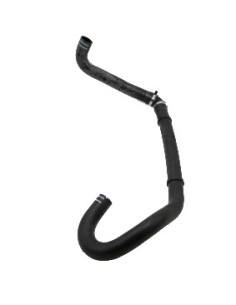 Manguera Radiador Sup (lema)
