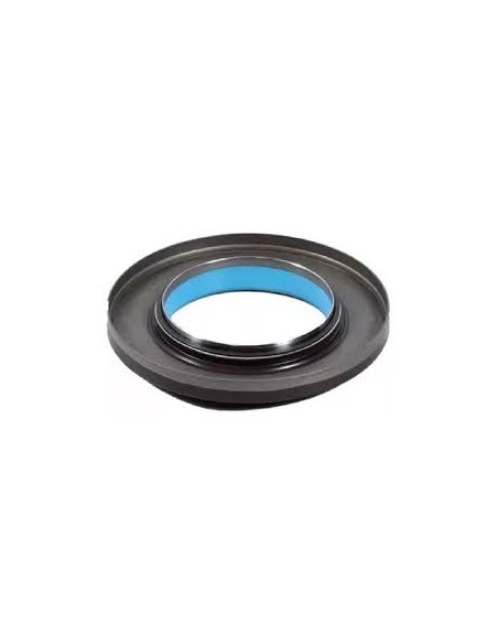 Reten De Pinon Meritor