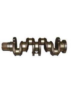 Ciguenal Motor (susin)