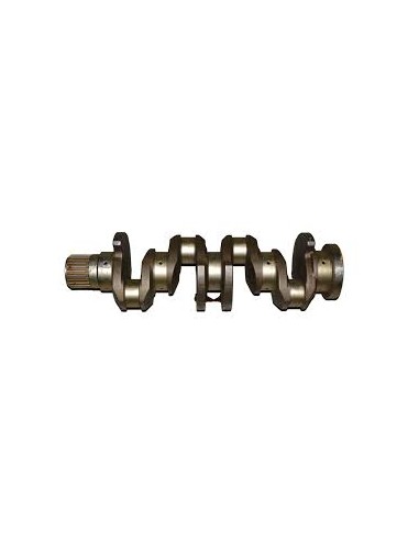 Ciguenal Motor (susin)
