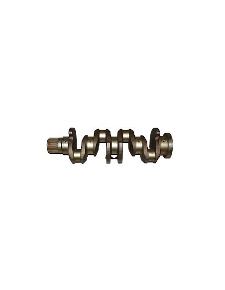 Ciguenal Motor (susin)