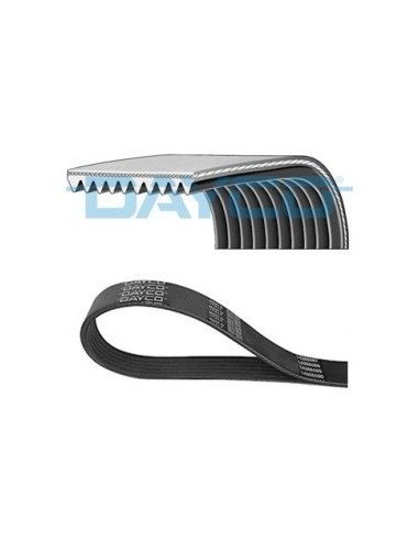 Correa Cursor Cavallino