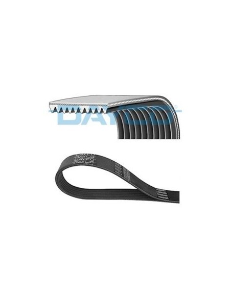 Correa Cursor Cavallino