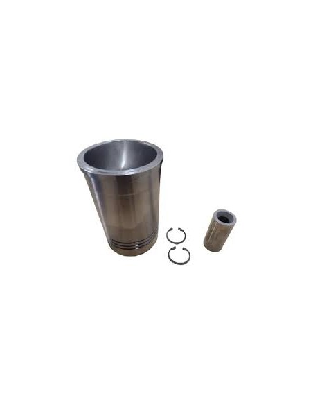 Conjunto Motor