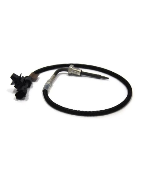 Sensor (csps)