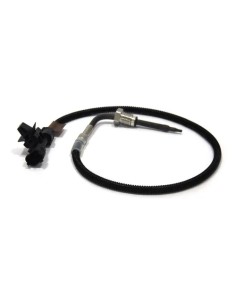 Sensor (csps)