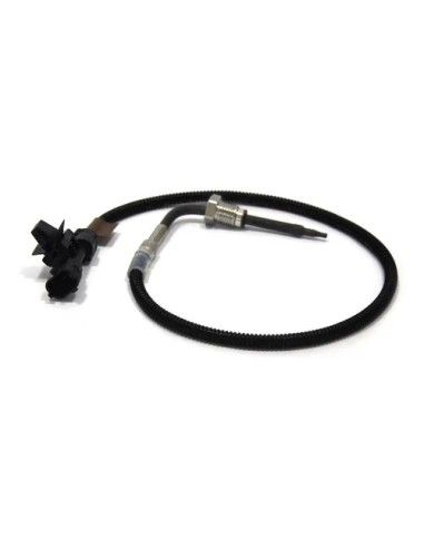 Sensor (csps)
