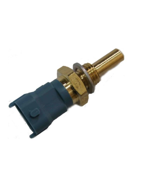 (m) Sensor