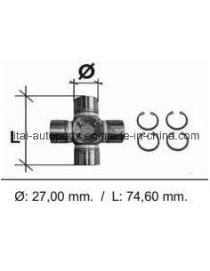Cruzeta Daily 74mm