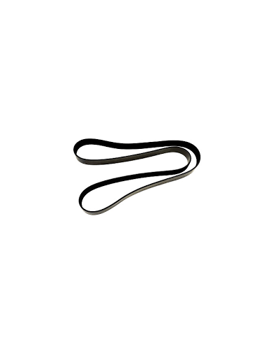 Correa Cursor Cavallino