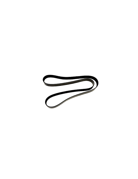Correa Cursor Cavallino
