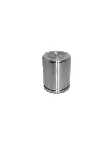 Piston Caliper Delantero