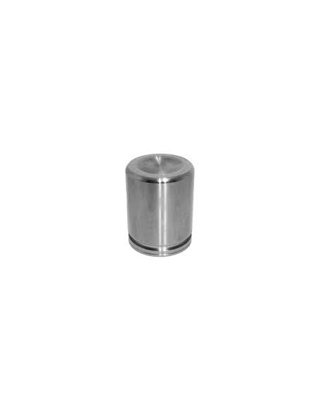 Piston Caliper Delantero